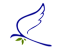 image4