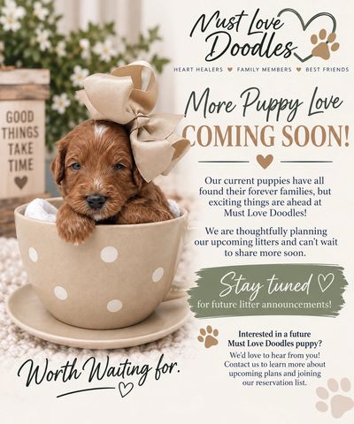 Adorable puppy in a polka dot cup with a bow, promoting Must Love Doodles puppies.