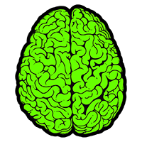 Grey
Matter
Movies