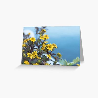 sunshine in the mist photo greeting card