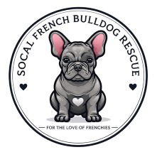 SoCal French Bulldog Rescue