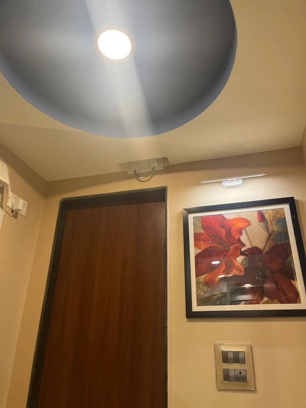 Ceiling light shining down near a wooden door and framed floral painting.