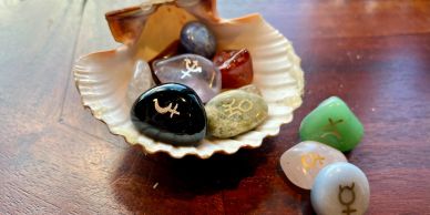 Colorful rune stones in a shell on a wooden surface.