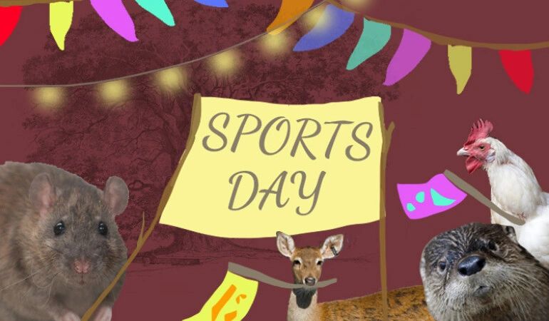 Animals holding flags at a Sports Day event with festive decorations.