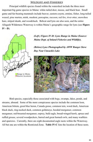 Principal wildlife species found within the watershed include the three most important big game spec