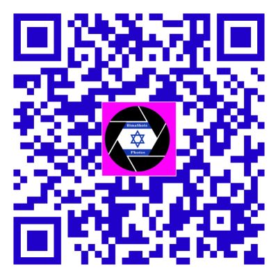 QR code with a blue and black center logo.