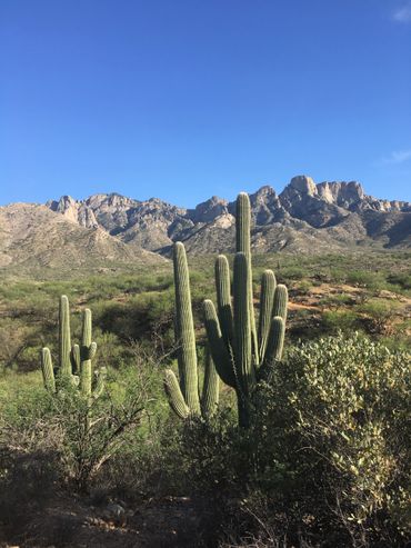 Trip Travel Away - Travel Agency, Vacations