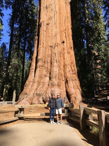 Trip Travel Away - Travel Agency, Vacations