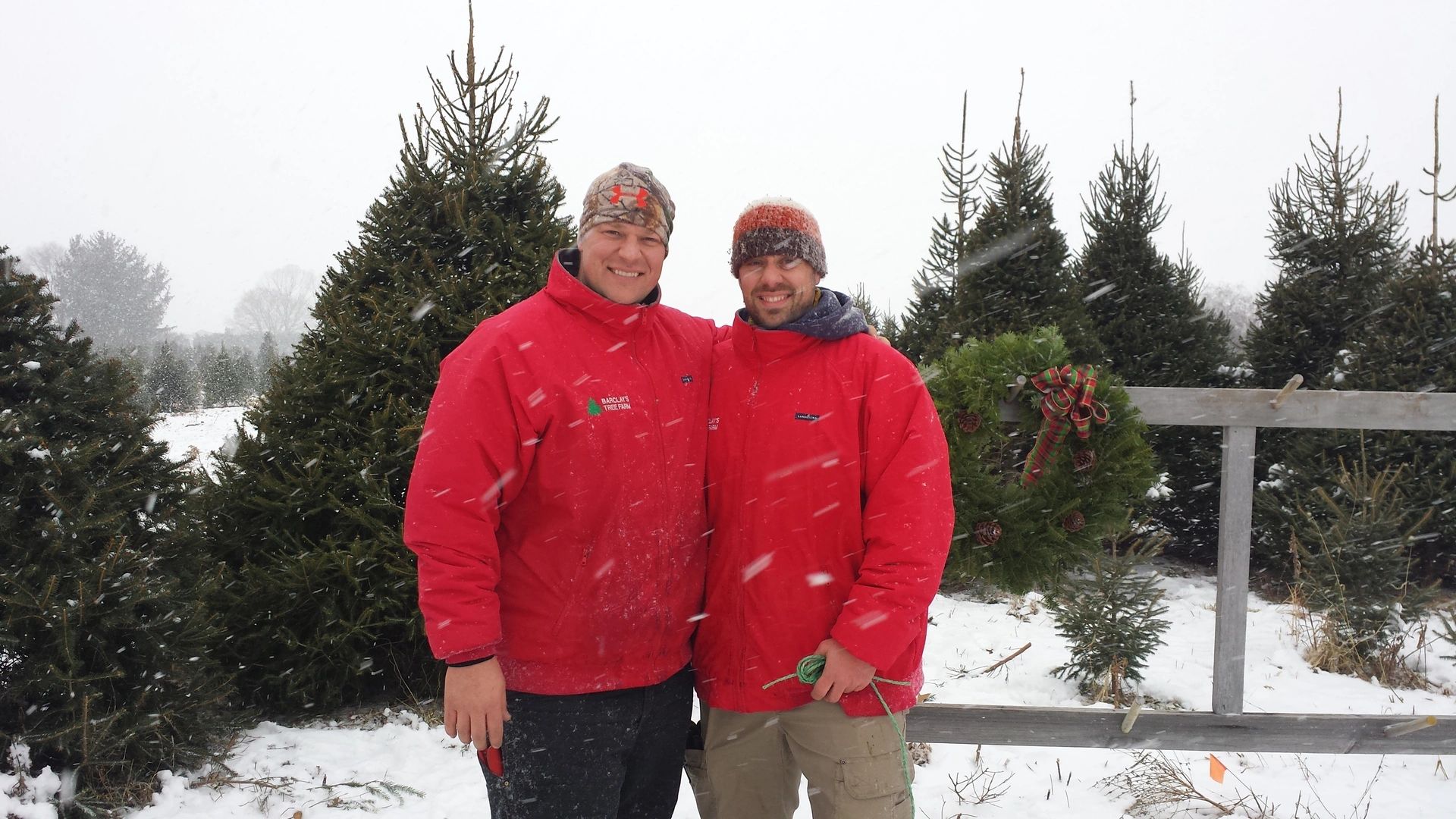 What to Expect on the Christmas Tree Farm