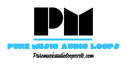 puremusicaudioloopsvsts.com