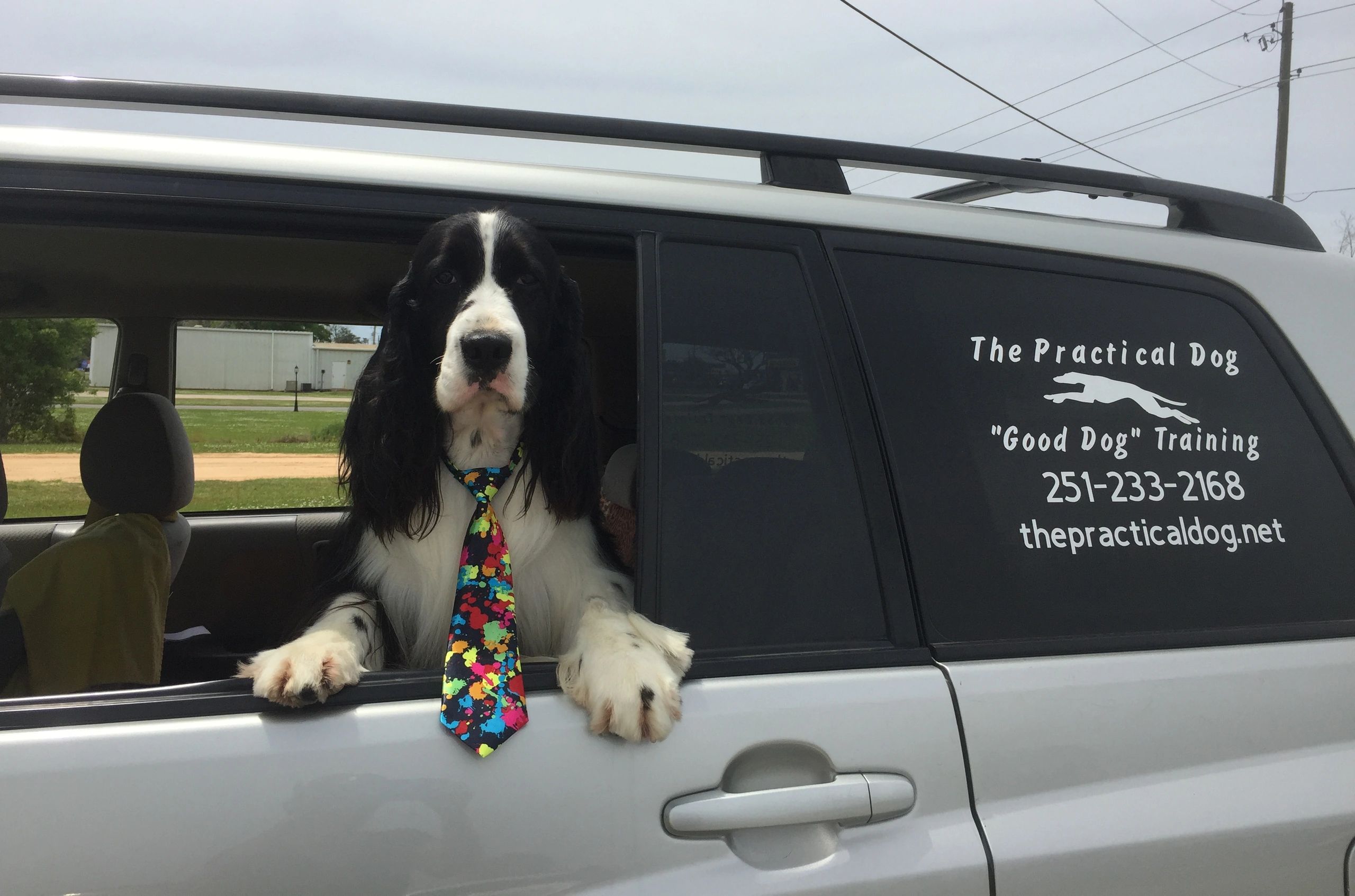 The Practical Dog "Good Dog" Training - Dog Training Baldwin County Alabama
