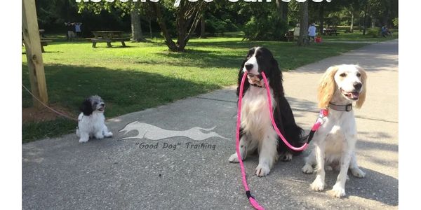 The Practical Dog "Good Dog" Training
Board and Train, Private 
Training, Competition Training
Alaba