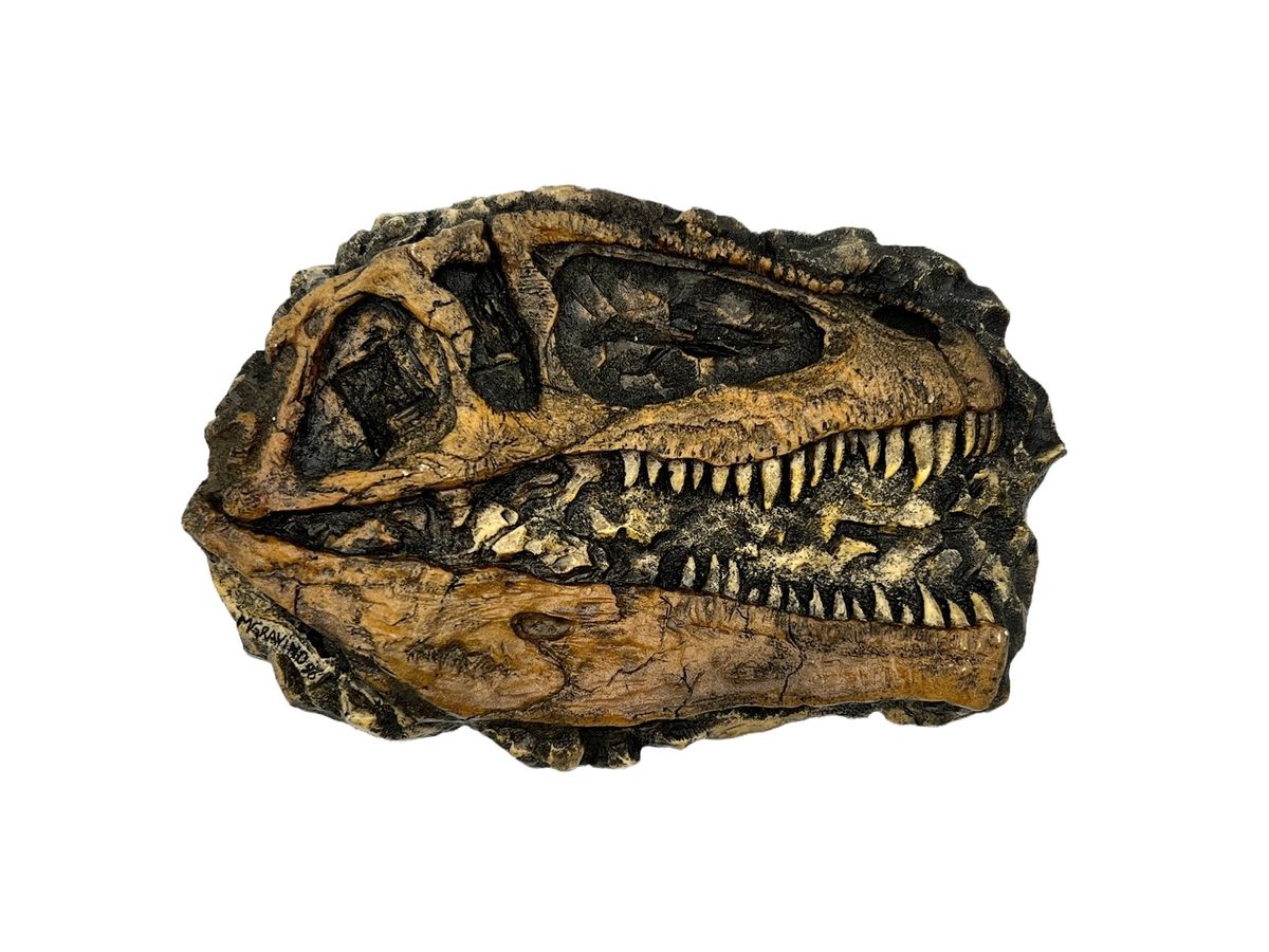 Skull Replica (Giganotosaurus Plaque)