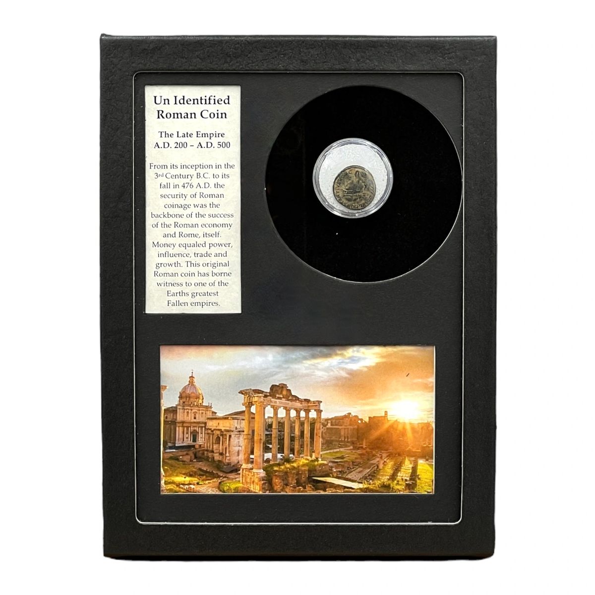 Unidentified Roman Coin Display