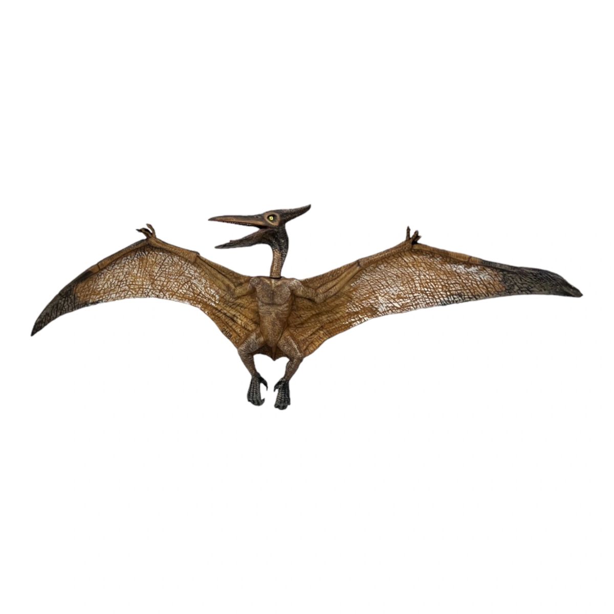 Pteranodon (Papo)