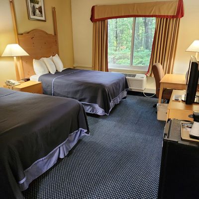 Standard room with two double bed and window facing the trees.
