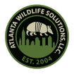 Armadillo Removal Atlanta