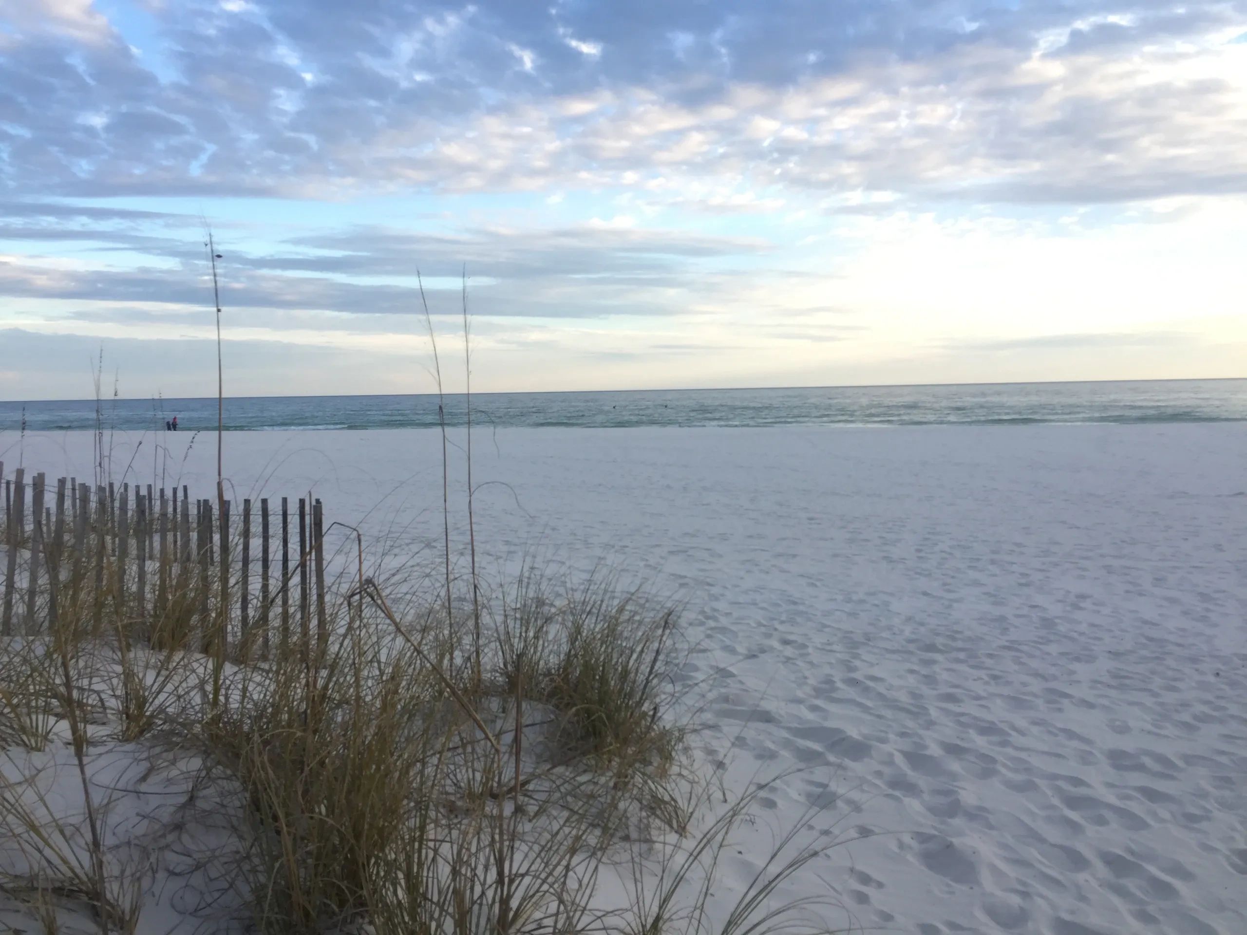 Beach Home Alabama Realty