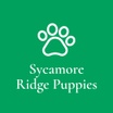 Sycamore Ridge Puppies 