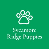 Sycamore Ridge Puppies 