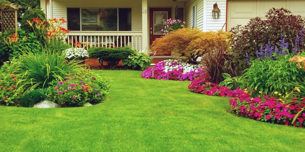 fertilization and weed control turf care lawn service