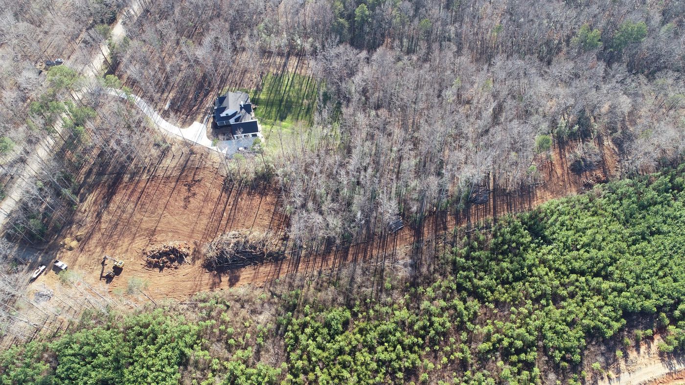 Land clearing project