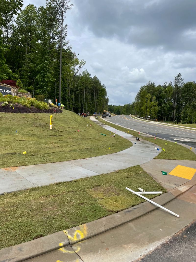 Professional landscaping project