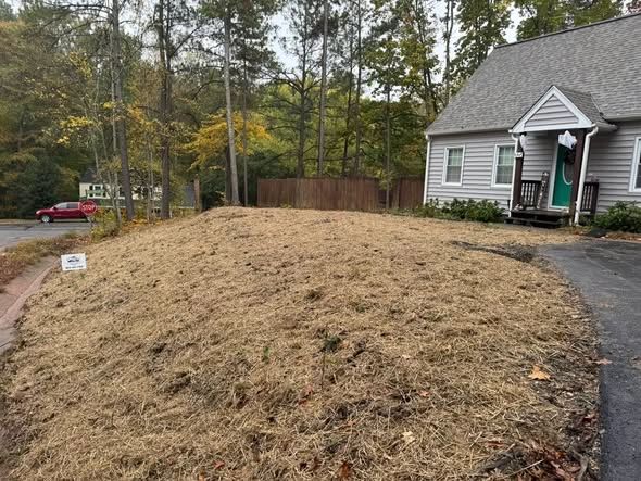 Grading and site prep