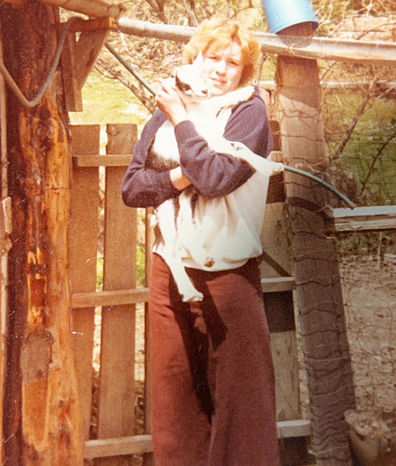 Person holding a dog outdoors near a wooden fence.