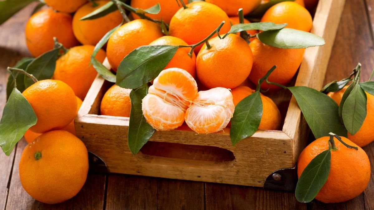 Frutobom