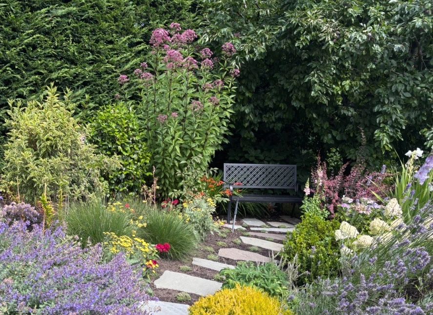 Garden path leading to a bench surrounded by colorful flowers.