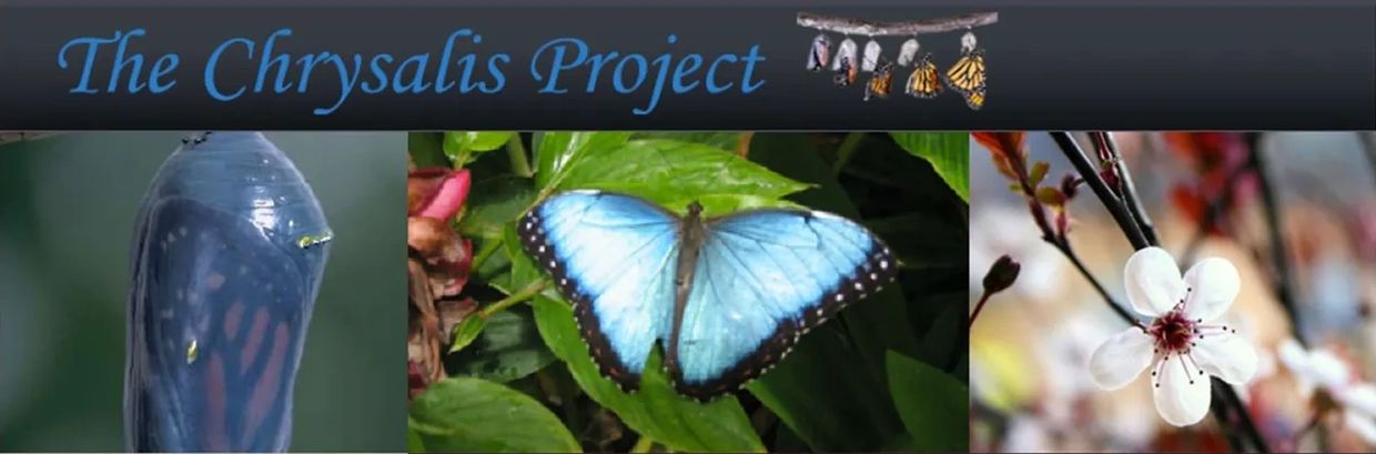 The Chrysalis Project