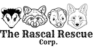 The Rascal Rescue