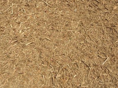 This is an example of the ground after a job.   This customer wanted a finer mulched area.  