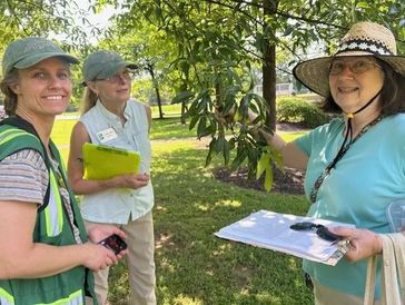 Arboretum Certification team