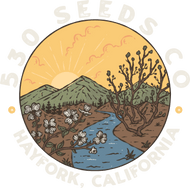 530 Seeds Company