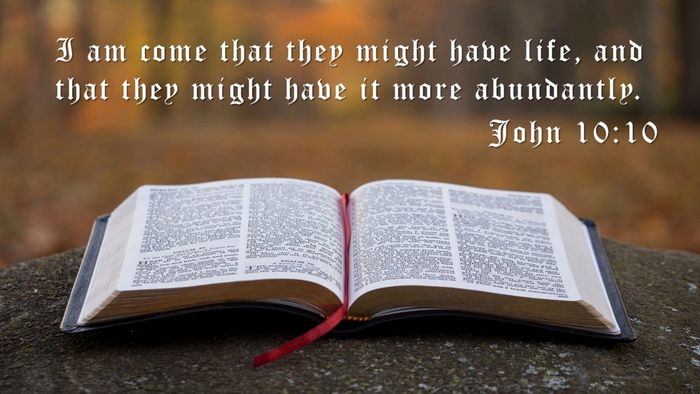 John 10:10