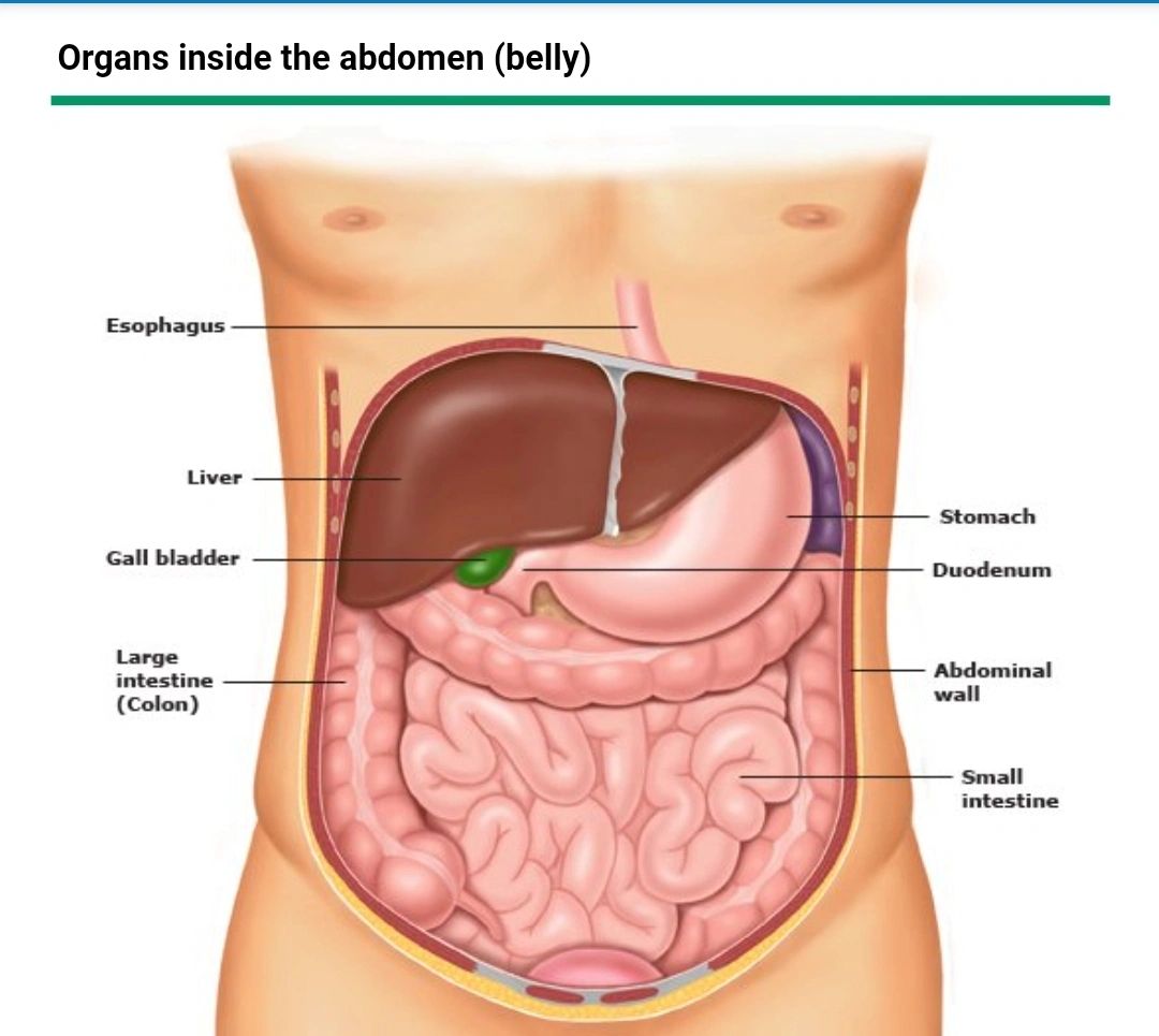 Cirrhosis of Liver | Dr Amit Bhasin