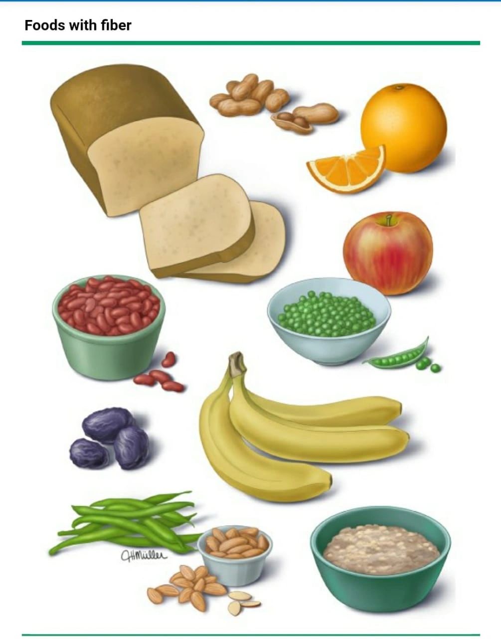 Dietary Fiber Foods