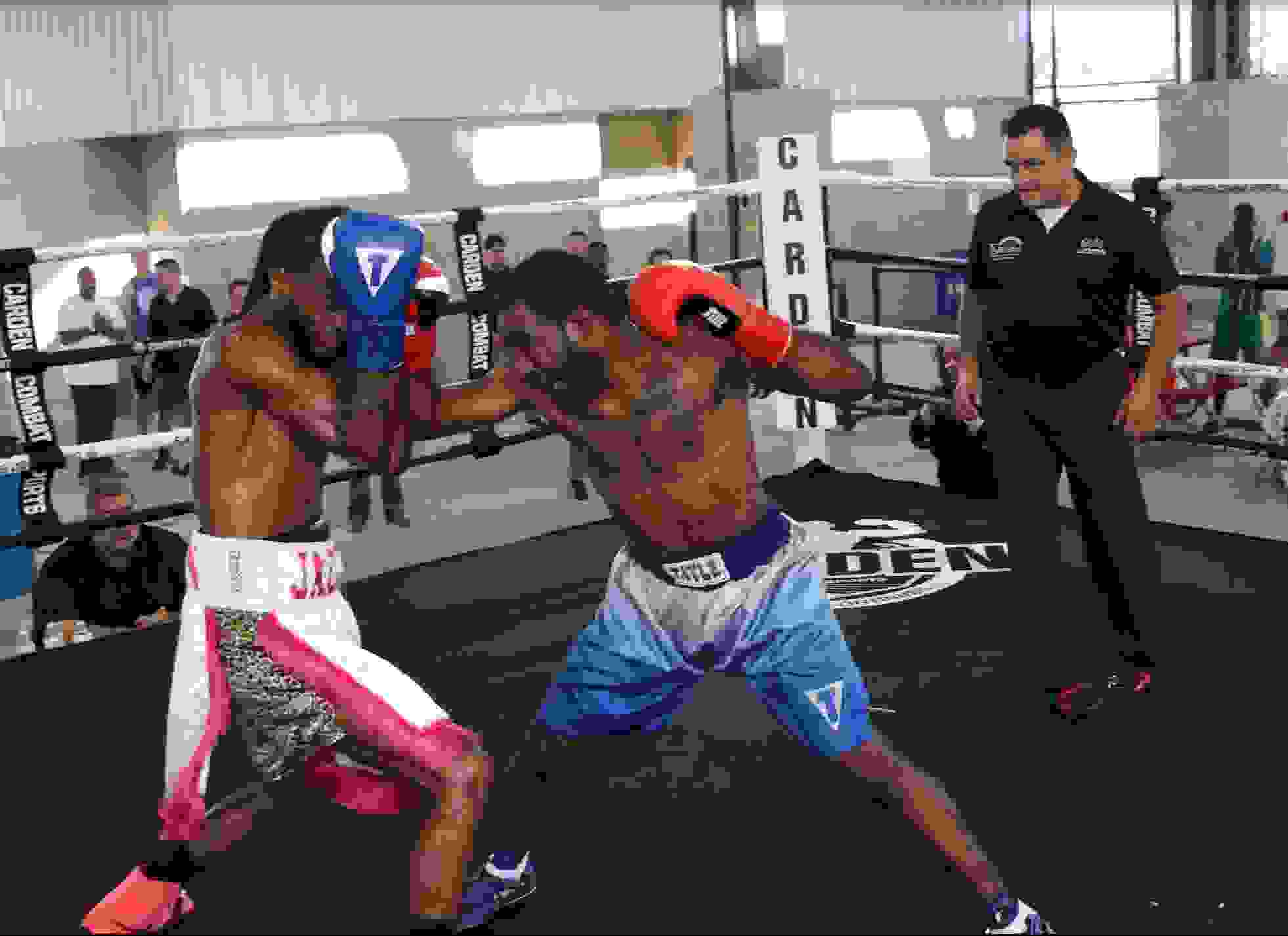 Committee Kansas Fights