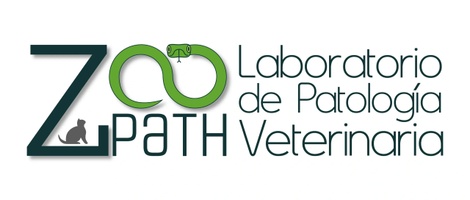 LABORATORIO ZOOPATH