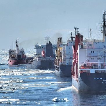 Several ships navigating through icy waters under a clear sky.