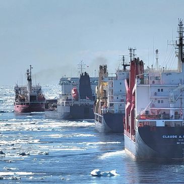 Several ships navigating through icy waters under a clear sky.