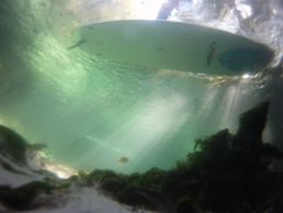 Spring clear water with great visibility from above and below the water! 