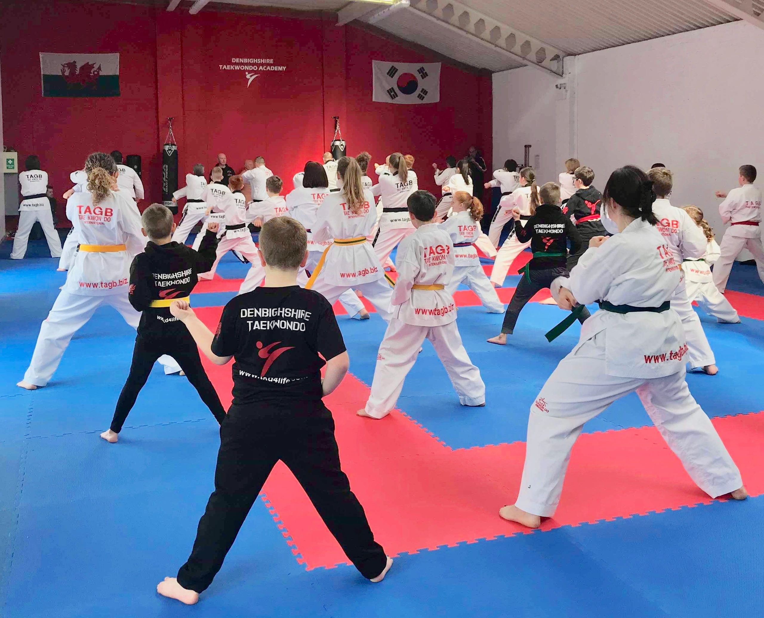 Instructor Team