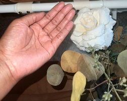 The Mouth of a Vessel

What are you holding?
