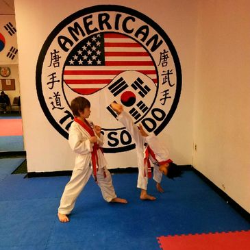 Tang Soo Do, Practice, Karate, Kicking