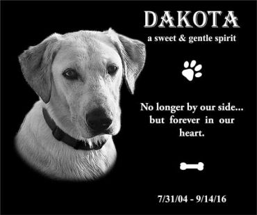 Memorial image of a dog named Dakota.