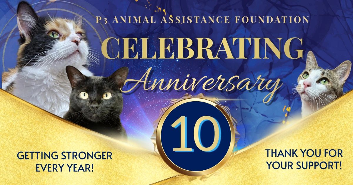 Helping Animals in Need | P3 Animal Assistance Foundation
