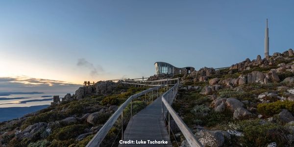 Timber boardwalk leading up the pinnacle observation deck